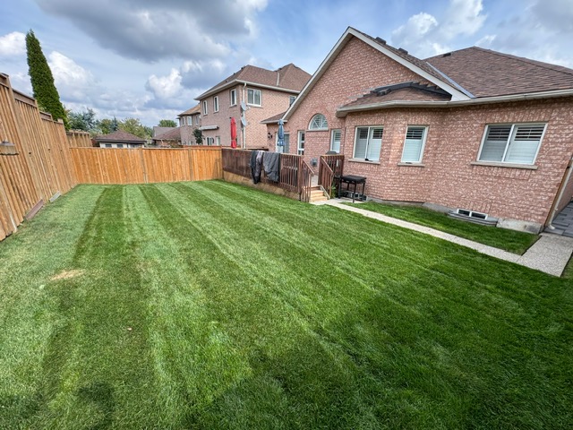 Lawn care - striped front yard