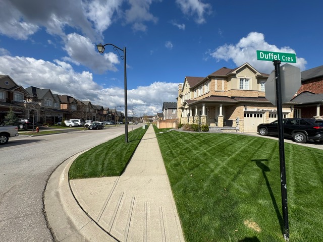 Backyard garden landscaping
