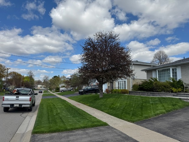 Garden bed maintenance