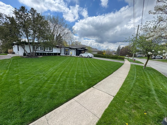 Ray\'s Property Services work